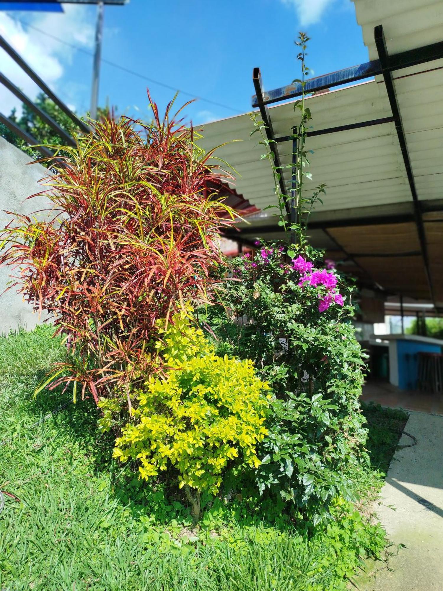 Mountain View Hostel San Peregrino Экстерьер фото